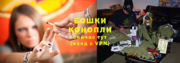 тгк Арсеньев