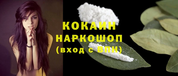 тгк Арсеньев