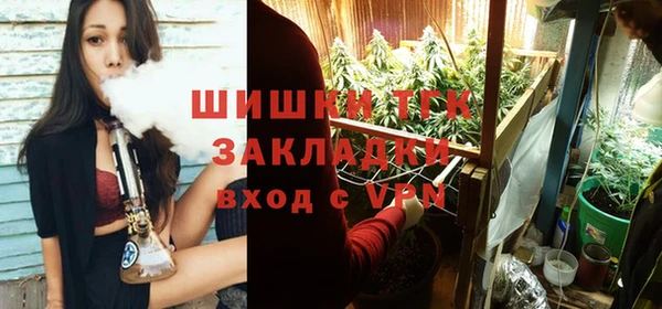 тгк Арсеньев